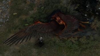 The Witcher 3 Screenshot